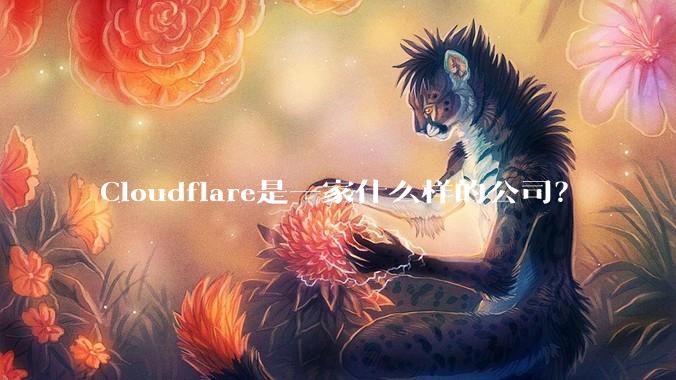 Cloudflare是一家什么样的公司？