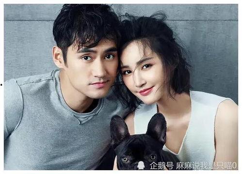 娱乐圈吃瓜爆料最准的是谁